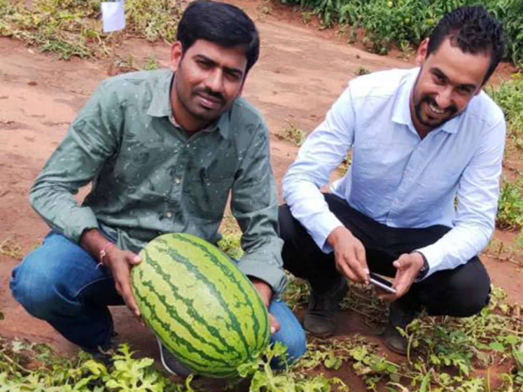 Avanta Seeds Watermelon