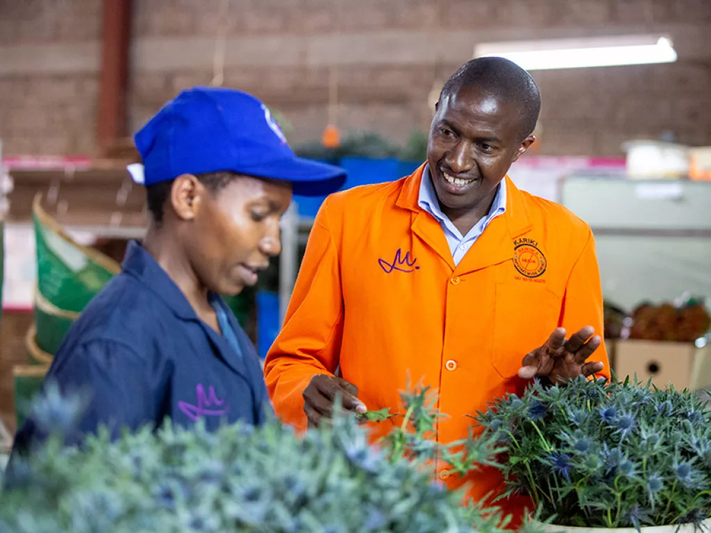Kenya Flower Council  Workers
