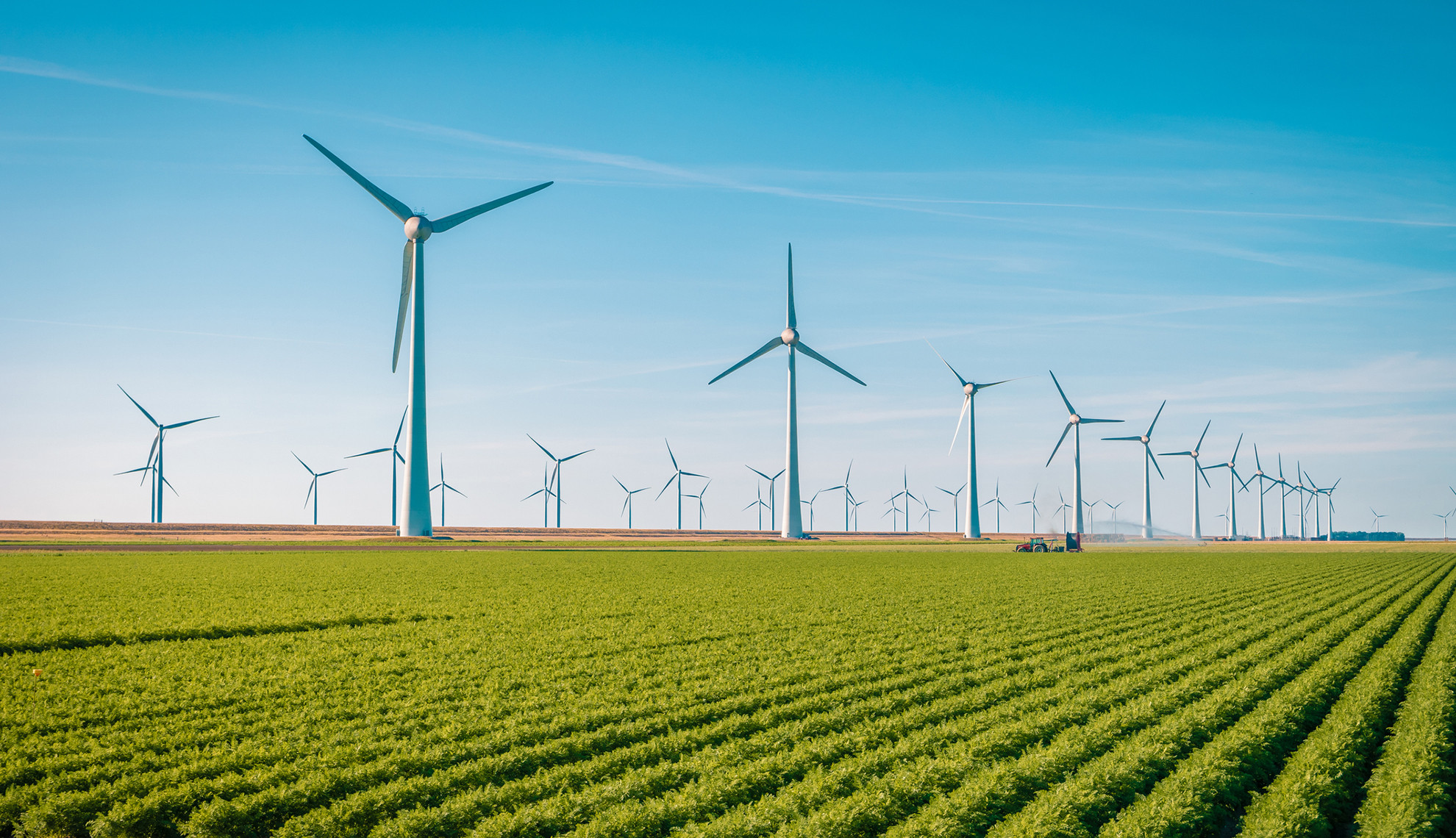 Uganda National Renewable Energy & Energy Efficiency Alliance Africa