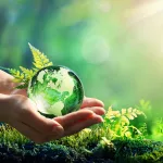 Hands Holding Globe Glass In Green Forest - Environment Concept