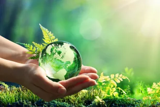 Hands Holding Globe Glass In Green Forest - Environment Concept