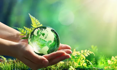 Hands Holding Globe Glass In Green Forest - Environment Concept