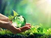 Hands Holding Globe Glass In Green Forest - Environment Concept