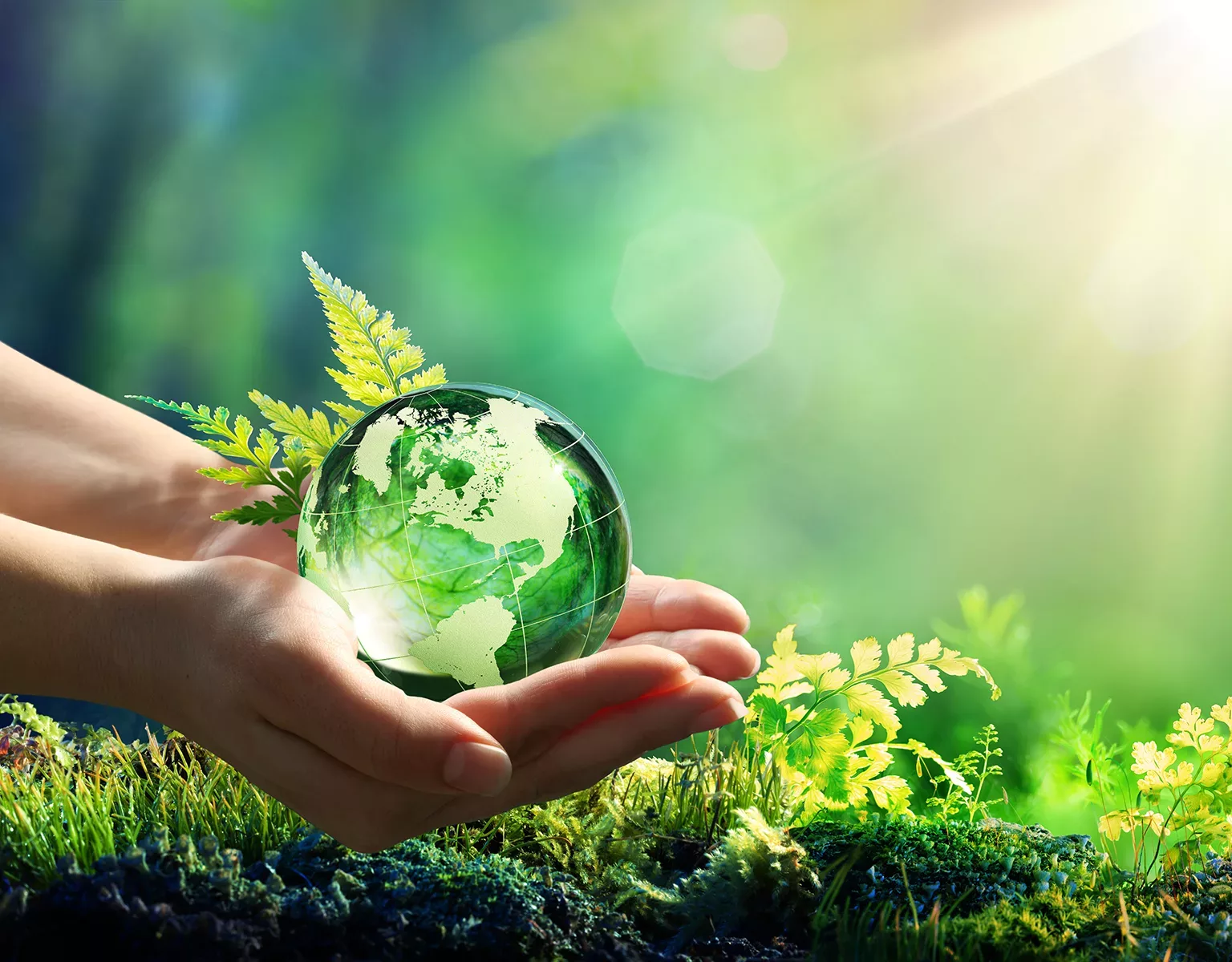 Hands Holding Globe Glass In Green Forest - Environment Concept