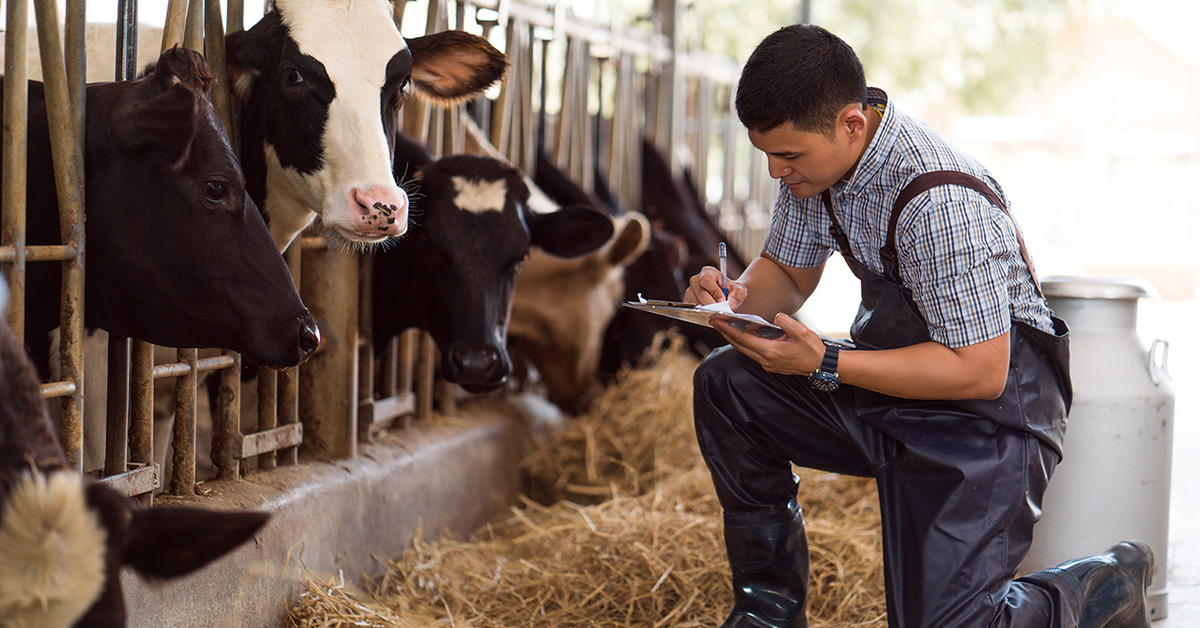 Dairy Group South Africa Devoted to Dairy Africa Outlook Magazine