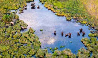 Aerial view to wild nature of Delta Okavango in Botswana.