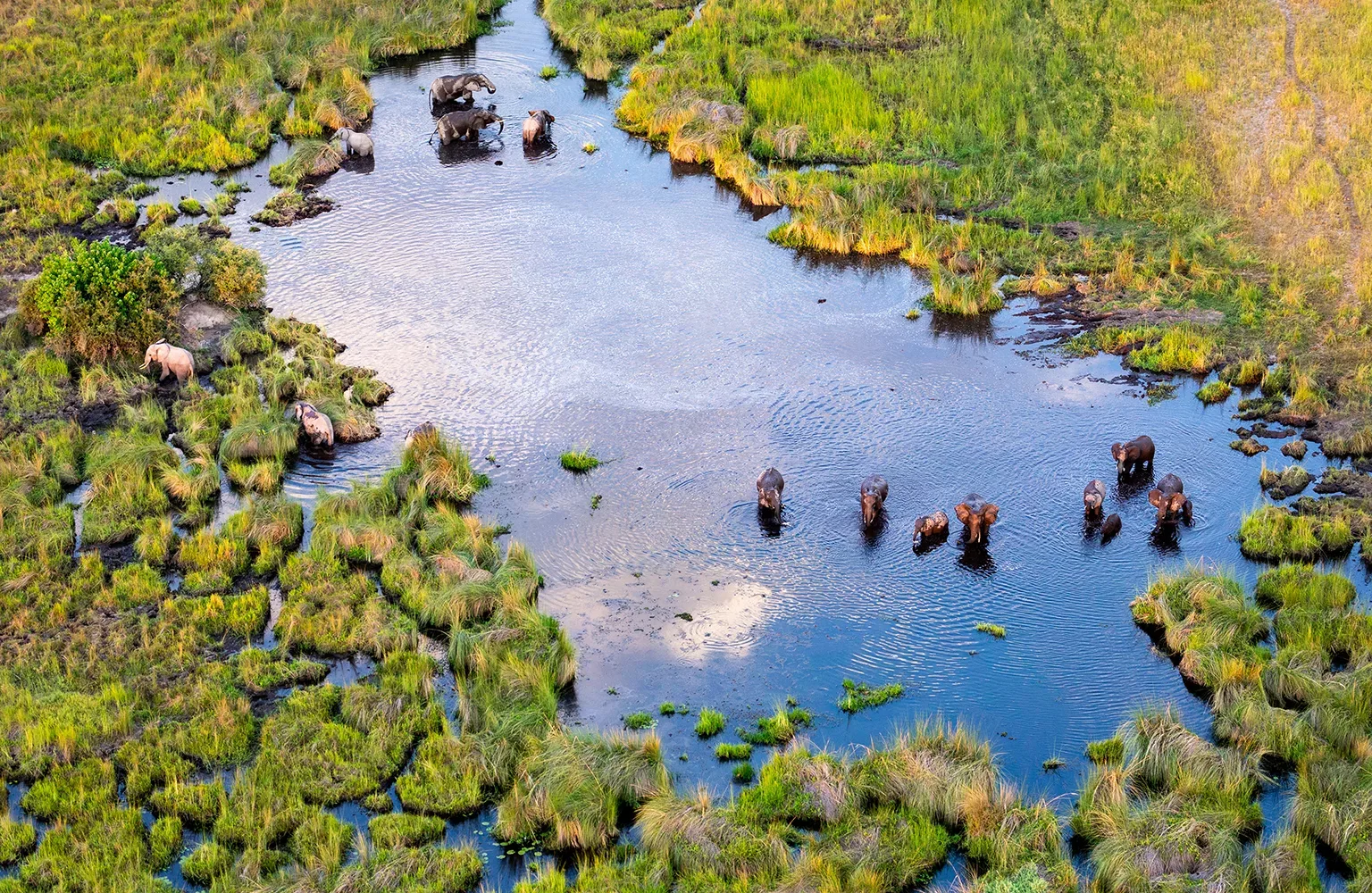 Aerial view to wild nature of Delta Okavango in Botswana.