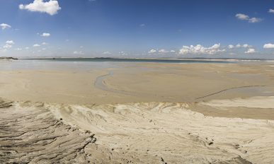 Fraser Alexander main