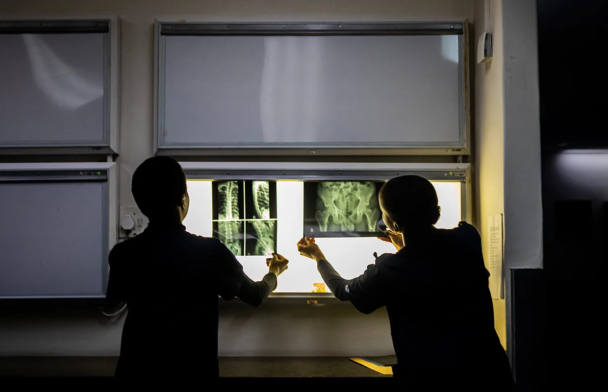 Charlotte Maxeke Hospital Main