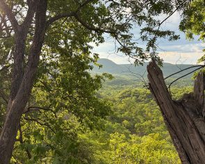 TASC The Human Impact of High-Integrity Carbon