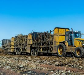 Tongaat Hulett Zimbabwe