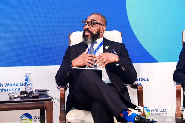 Nigerian Gas Association